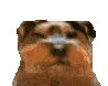 bbuh bbuh