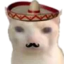 mexican_cat