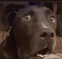 huh
