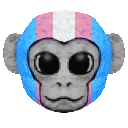 Trans_Ape Trans_Ape