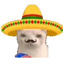 muchoGato muchoGato