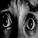 fear