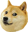 concerndoge