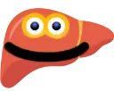 liver