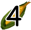Corn4