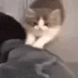 elisClimb