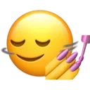 slayledim