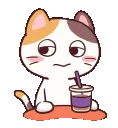 CatEat CatEat