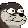 Otter_run Otter_run