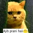 emoji_40
