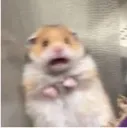 FEAR