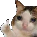 crycatok