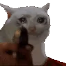 catgunshot