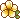 wy_flower