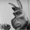 donkeychad