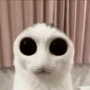 eebydeeby