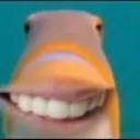 SmileyFish SmileyFish
