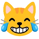 cat_joy cat_joy