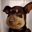 uhhhh uhhhh