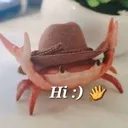 crab_hat
