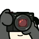 aniRooCaughtin4k