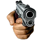 GUN