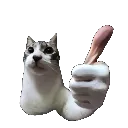 thumbsup thumbsup