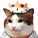 catking