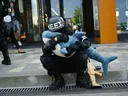 emotionalsupportshark