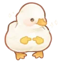cute_duck