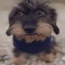 bru