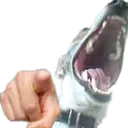 cuoikhinh cuoikhinh