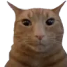 Guh