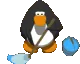 PenguinClean