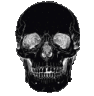 ie_black_cranium