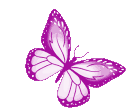 :SD_butterfly: