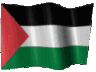 6424wavingpalestine
