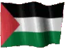 6424wavingpalestine