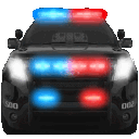 2921police