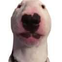 wuf