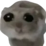 sadhamster