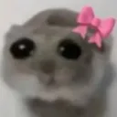 tc_pipipi2