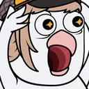 birbvelpogger