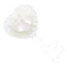 000