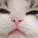 kt