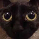 lookign