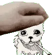 muonpat