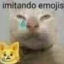 gatosad