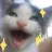 YIPEECAT YIPEECAT
