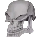 skull_evil